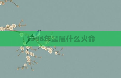 1996年是属什么火命