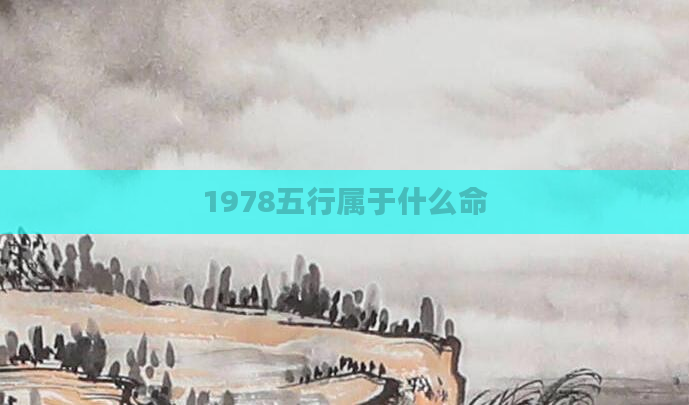 1978五行属于什么命