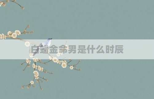 白蜡金命男是什么时辰