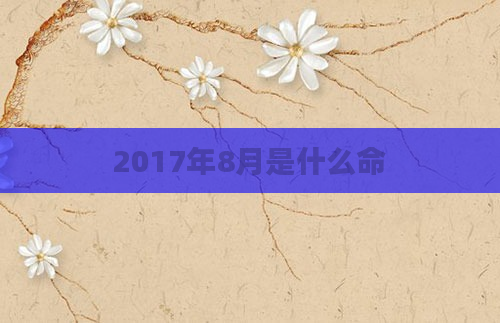 2017年8月是什么命