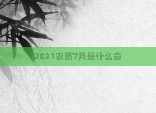 2021农历7月是什么命
