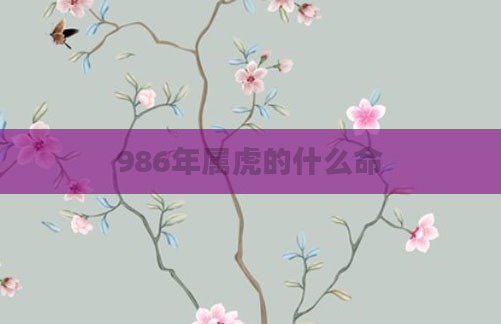 986年属虎的什么命
