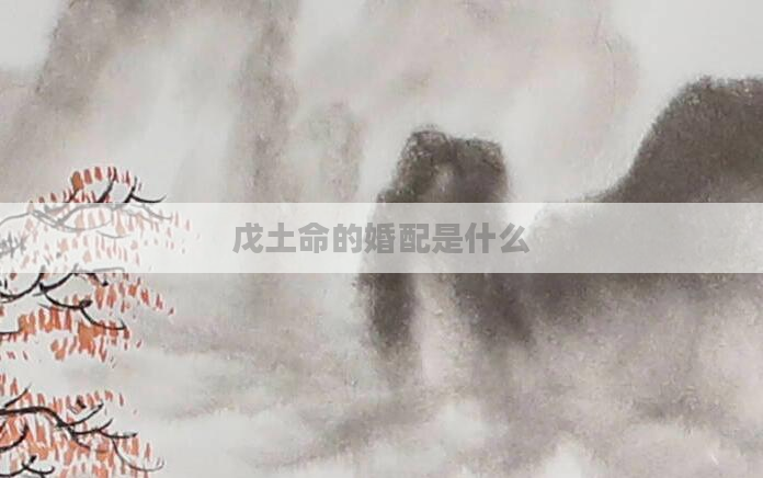 戊土命的婚配是什么