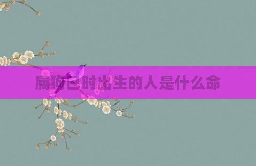 属狗巳时出生的人是什么命