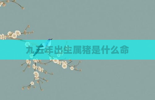 九五年出生属猪是什么命