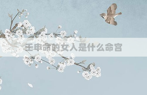 壬申命的女人是什么命宫
