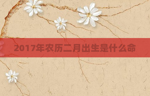 2017年农历二月出生是什么命