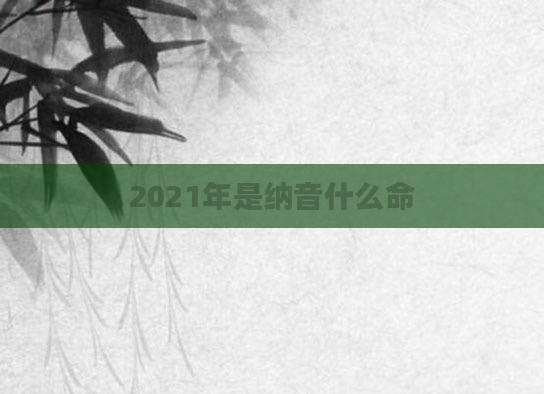 2021年是纳音什么命