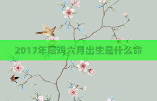 2017年属鸡六月出生是什么命