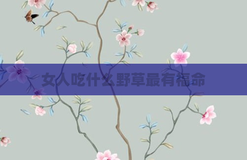 女人吃什么野草最有福命