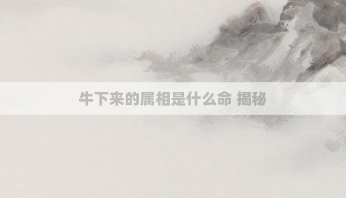 牛下来的属相是什么命 揭秘