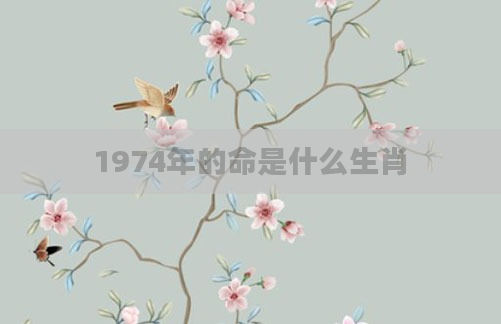 1974年的命是什么生肖
