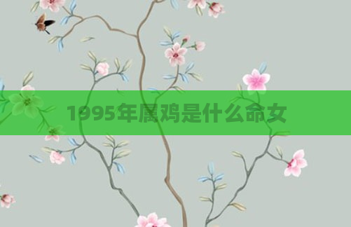 1995年属鸡是什么命女