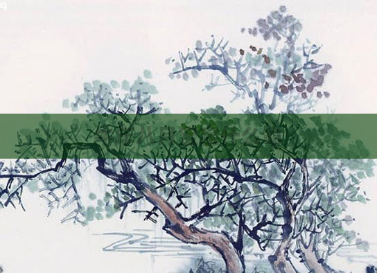 牛年八月宝宝什么命