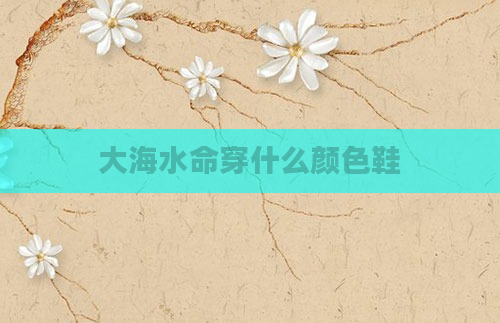 大海水命穿什么颜色鞋