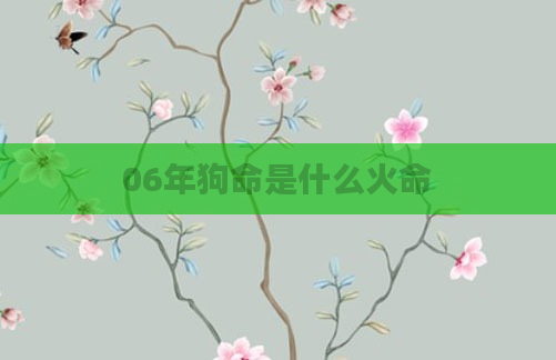 06年狗命是什么火命