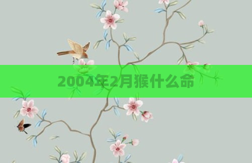 2004年2月猴什么命
