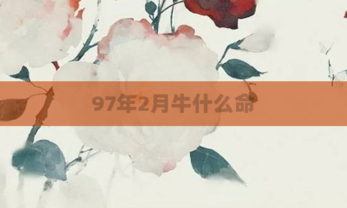 97年2月牛什么命