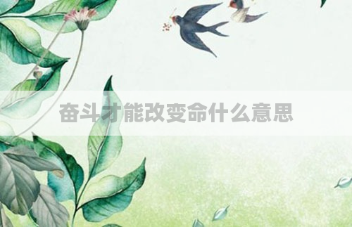 奋斗才能改变命什么意思