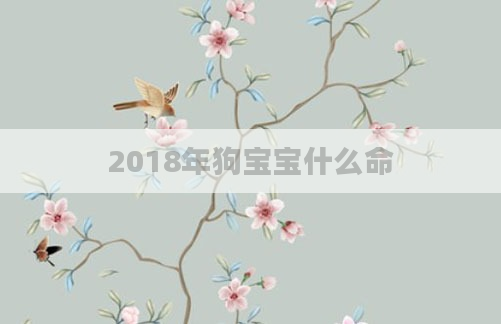 2018年狗宝宝什么命