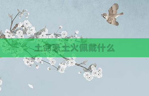 土命忌土火佩戴什么