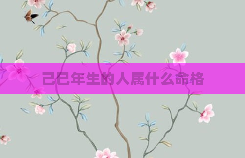 己巳年生的人属什么命格