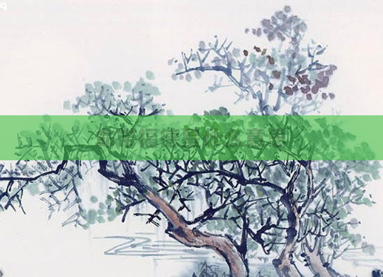 命带福德星什么意思