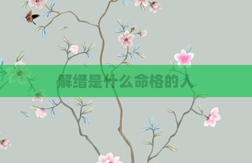 解缙是什么命格的人