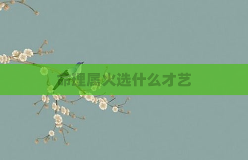 命理属火选什么才艺