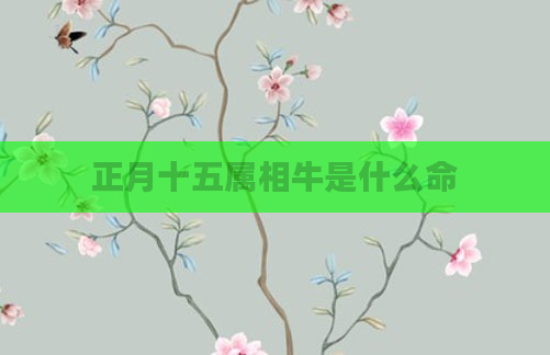 正月十五属相牛是什么命
