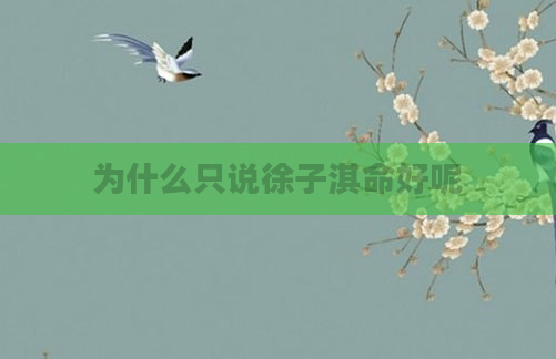 为什么只说徐子淇命好呢