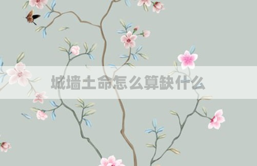 城墙土命怎么算缺什么