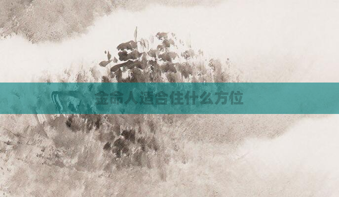 金命人适合住什么方位