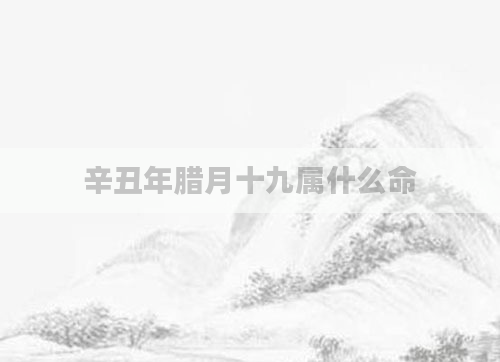 辛丑年腊月十九属什么命