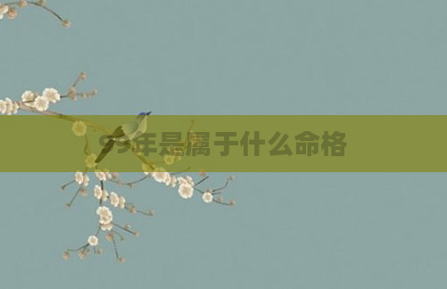 99年是属于什么命格
