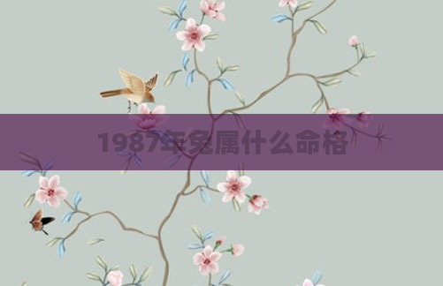 1987年兔属什么命格