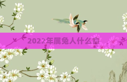 2022年属兔人什么命