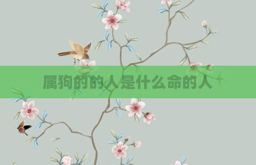 属狗的的人是什么命的人