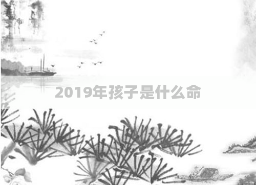 2019年孩子是什么命