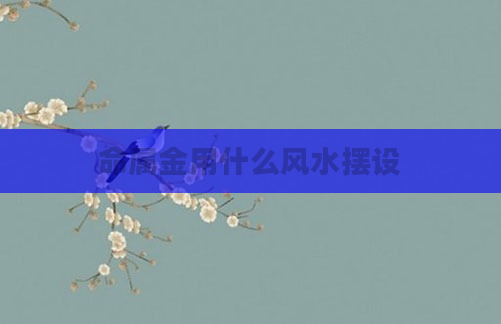 命属金用什么风水摆设
