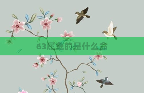 63属兔的是什么命