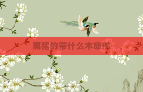 属猪的带什么木命佛