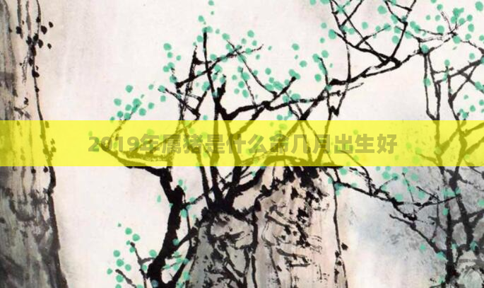 2019年属猪是什么命几月出生好
