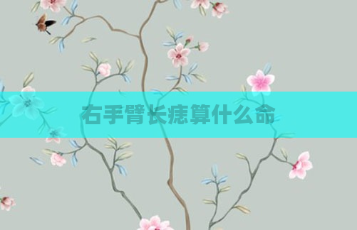 右手臂长痣算什么命