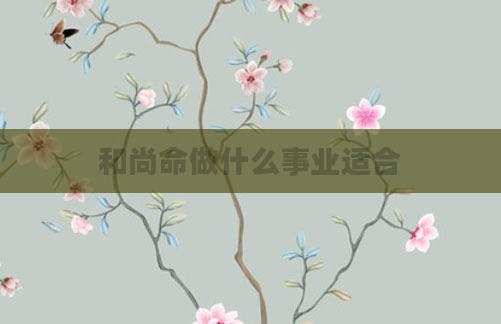 和尚命做什么事业适合