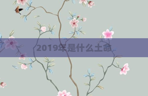 2019年是什么土命