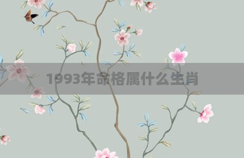 1993年命格属什么生肖