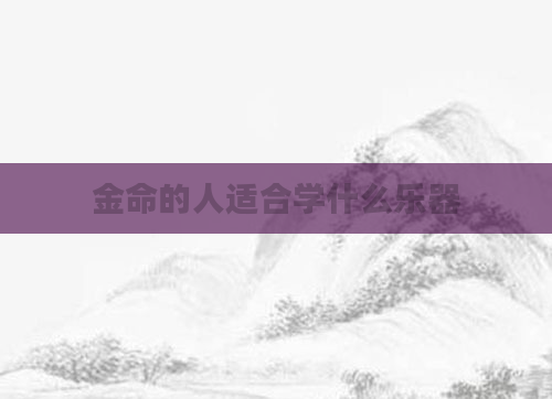 金命的人适合学什么乐器