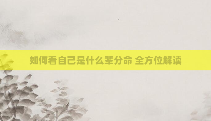 如何看自己是什么辈分命 全方位解读