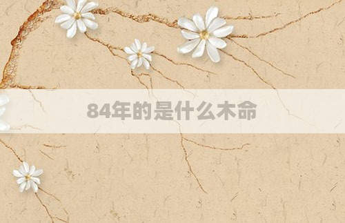84年的是什么木命